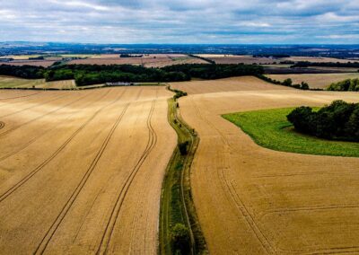 Why it’s time to take real action on rural connectivity
